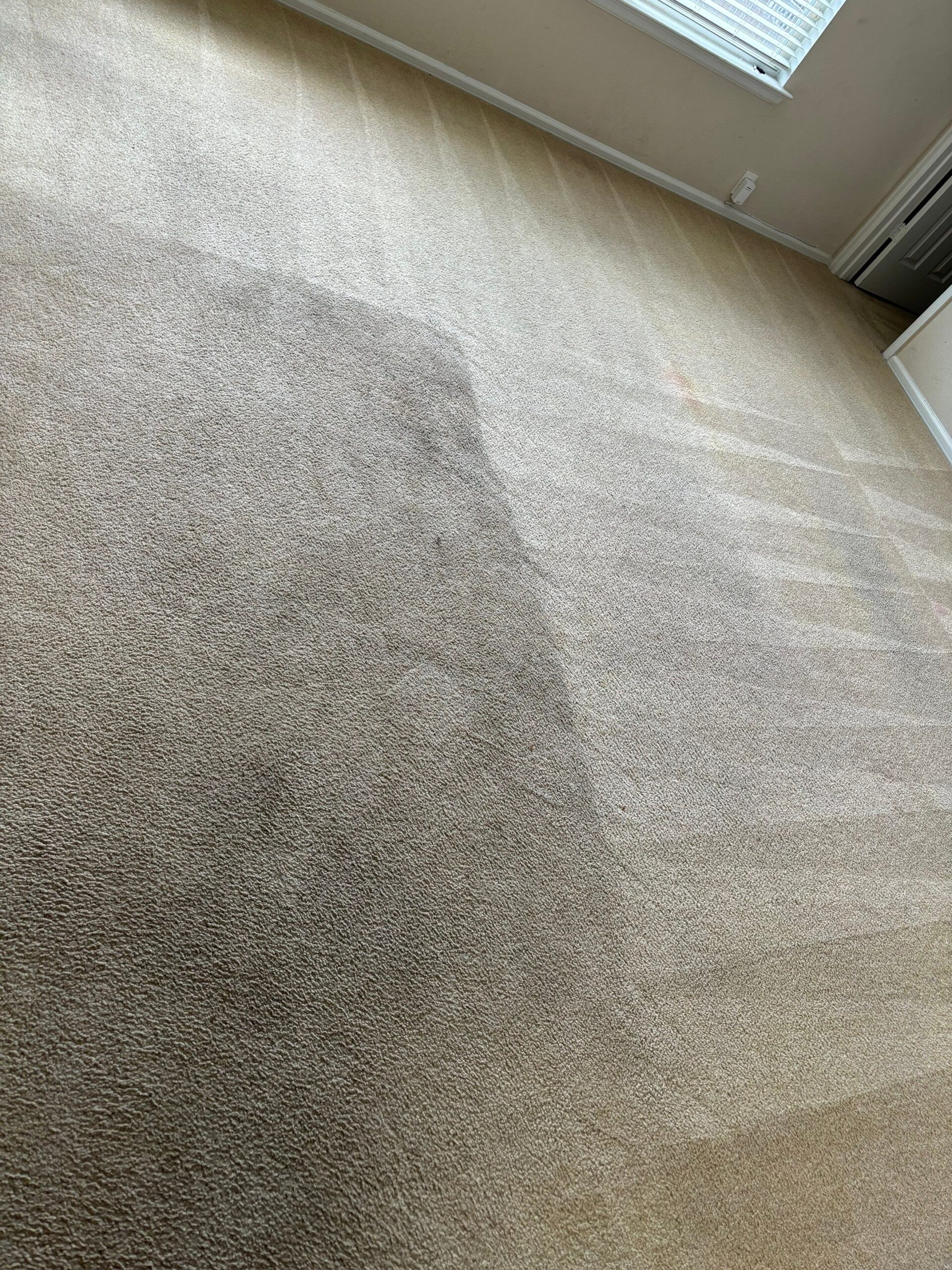 Carpet Cleaning Project in Converse TX 78109