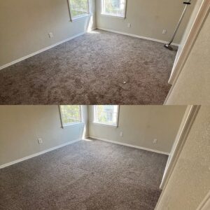 Incredible Carpet Cleaning Project in San Antonio TX 78244