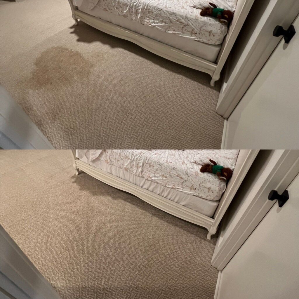 Astonishing Carpet Cleaning Project in San Antonio TX 78209