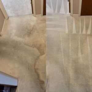 Drink Stain Carpet Cleaning Project in San Antonio TX 78230