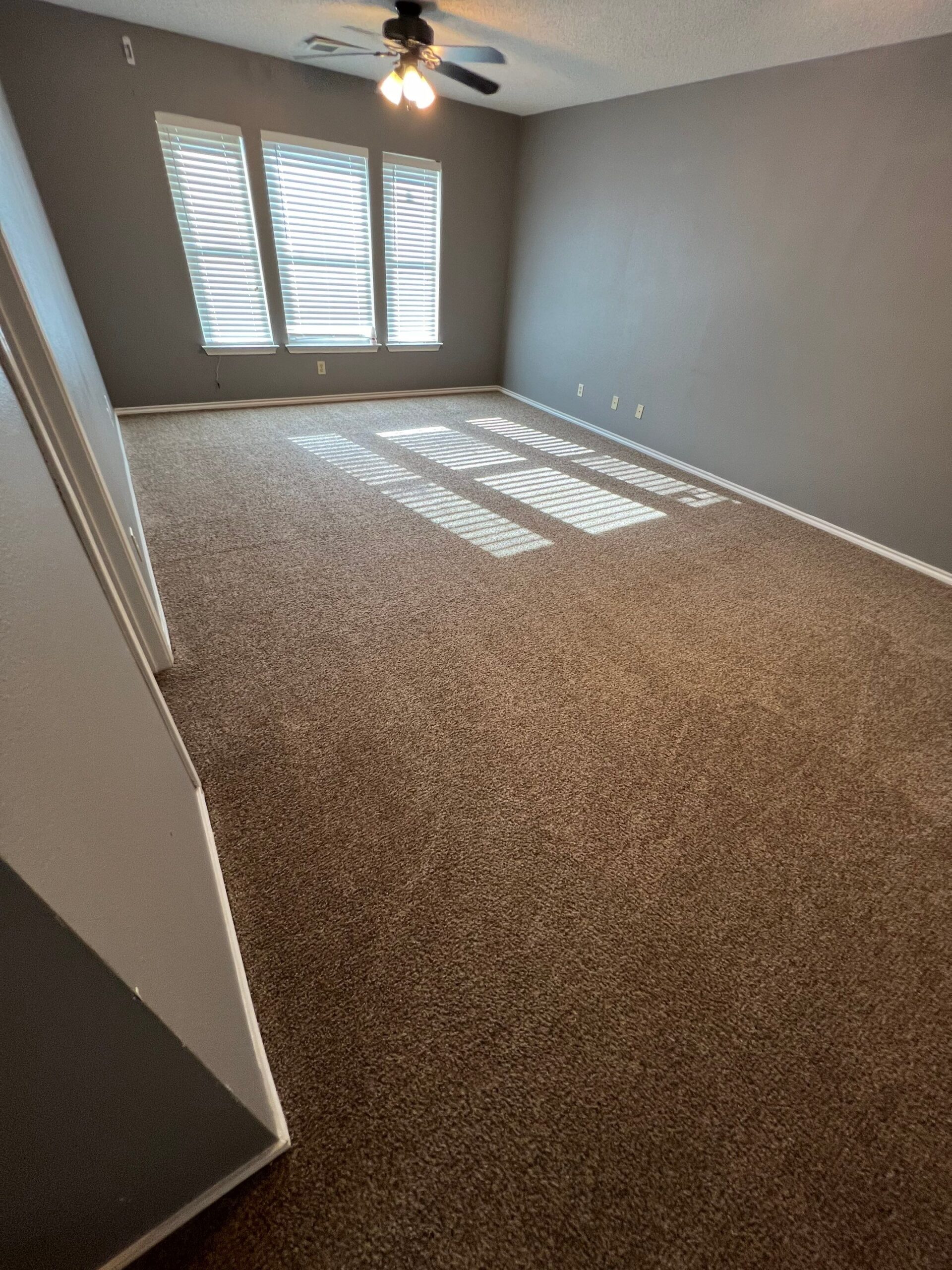 Carpet Cleaning Project in San Antonio TX 78239