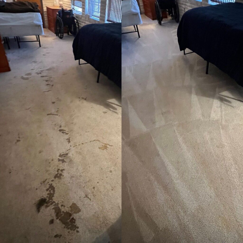 Astonishing Carpet Cleaning Project in San Antonio TX 78219