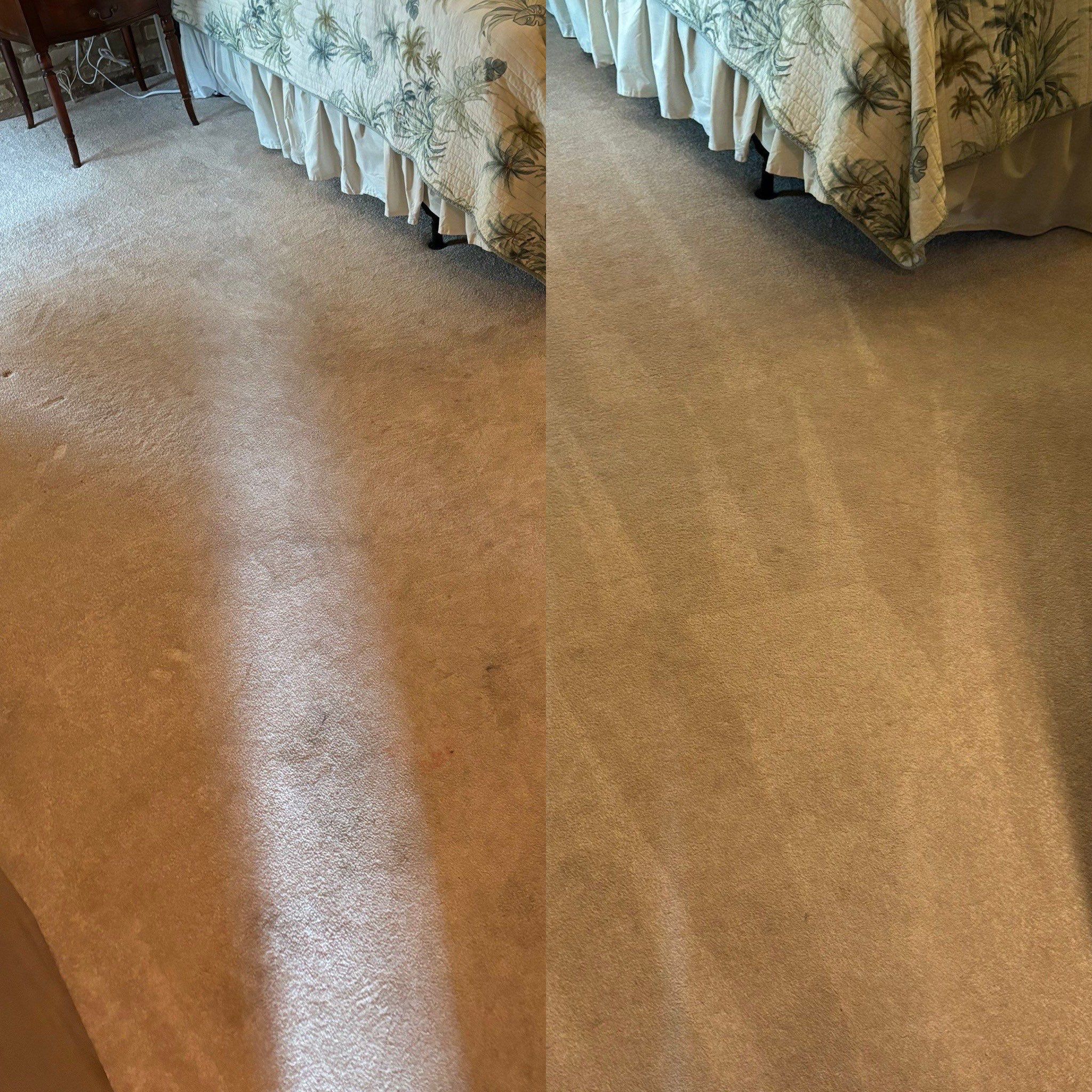 Urine Carpet Cleaning Project in Live Oak TX 78233