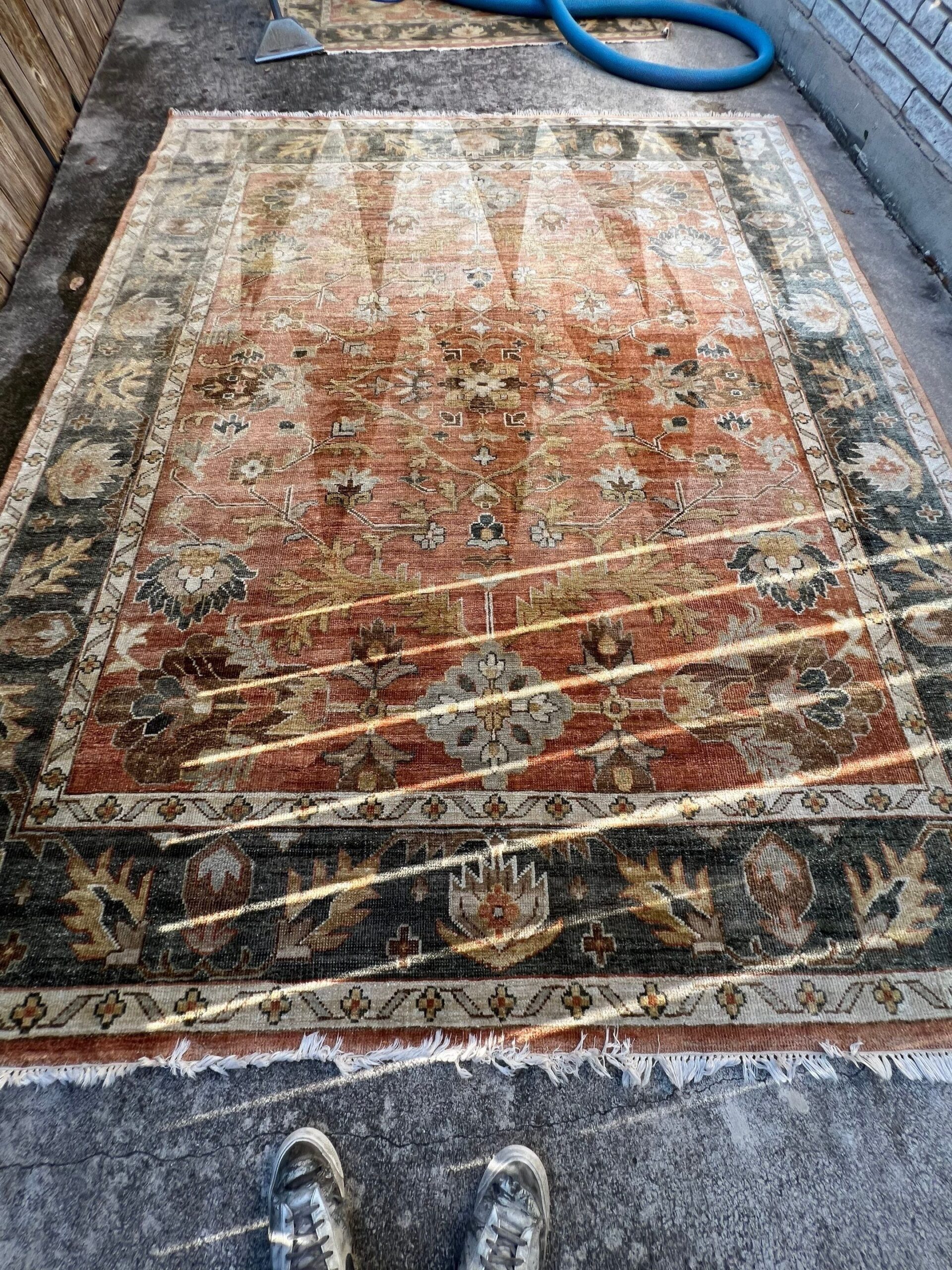 Oriental Rug Steam Cleaning Project in San Antonio TX 78209