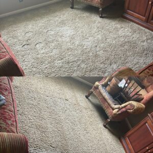 Pet Urine Stain Carpet Cleaning Project in San Antonio TX 78254