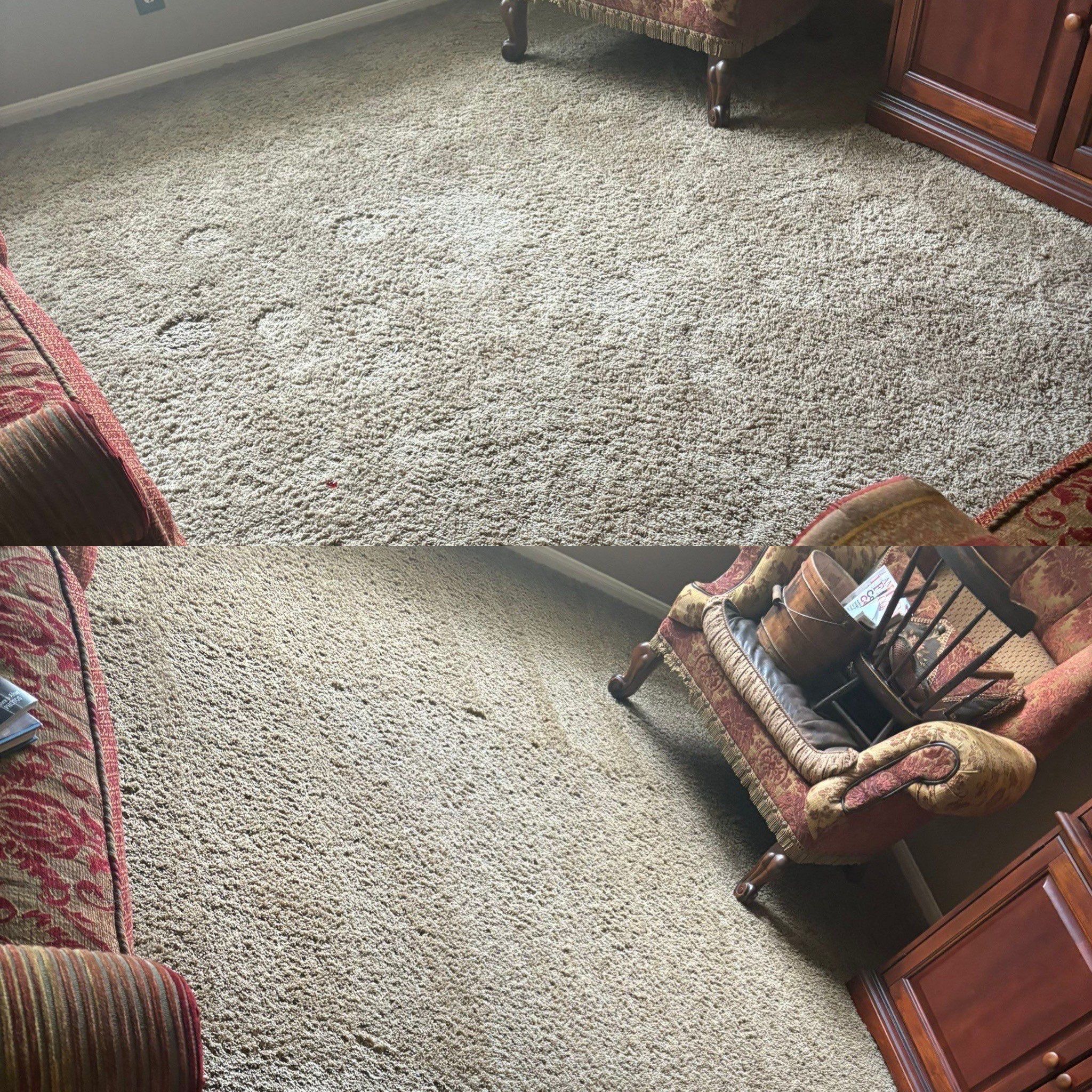 Pet Urine Stain Carpet Cleaning Project in San Antonio TX 78254