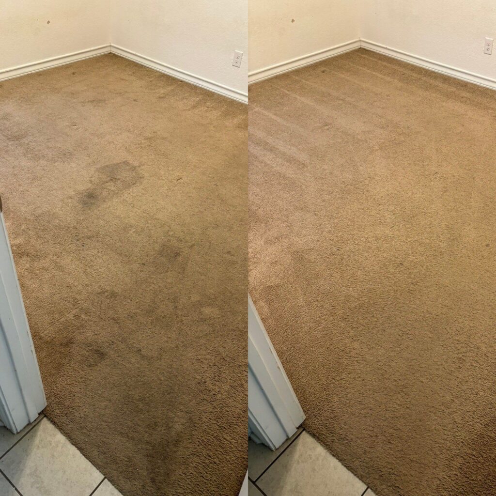 Phenomenal Carpet Cleaning Project in San Antonio TX 78222