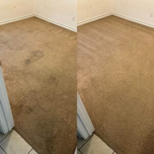 Phenomenal Carpet Cleaning Project in San Antonio TX 78222