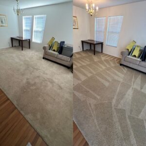 Astonishing Carpet Cleaning Project in San Antonio TX 78260