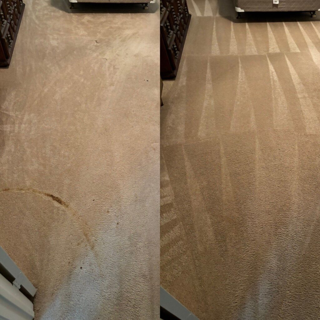 Spectacular Carpet Cleaning Project in San Antonio TX 78238