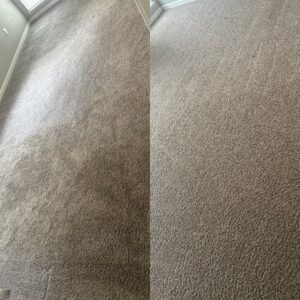 Impressive Carpet Cleaning Restoration Project in San Antonio TX 78233