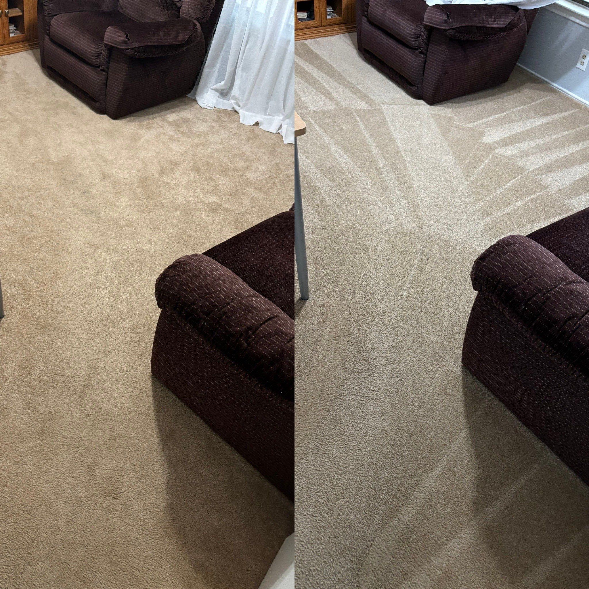 Incredible Carpet Cleaning Service Project in Converse TX 78109