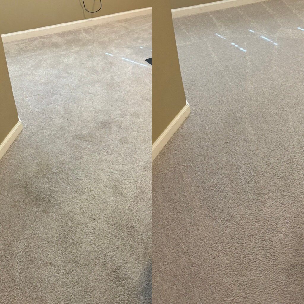 Dazzling Carpet Cleaning Project in Converse TX 78109