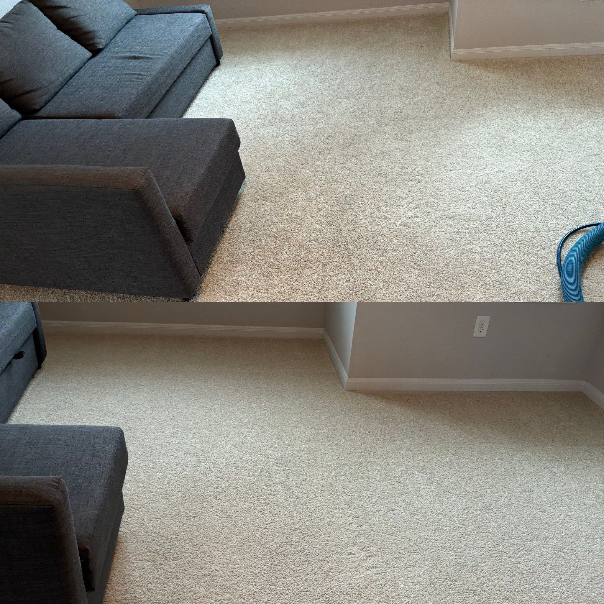 Carpet Cleaning Detail Project in San Antonio TX 78245