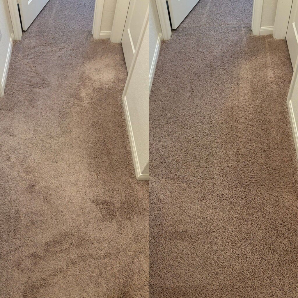 Incredible Carpet Cleaning Project in San Antonio TX 78252