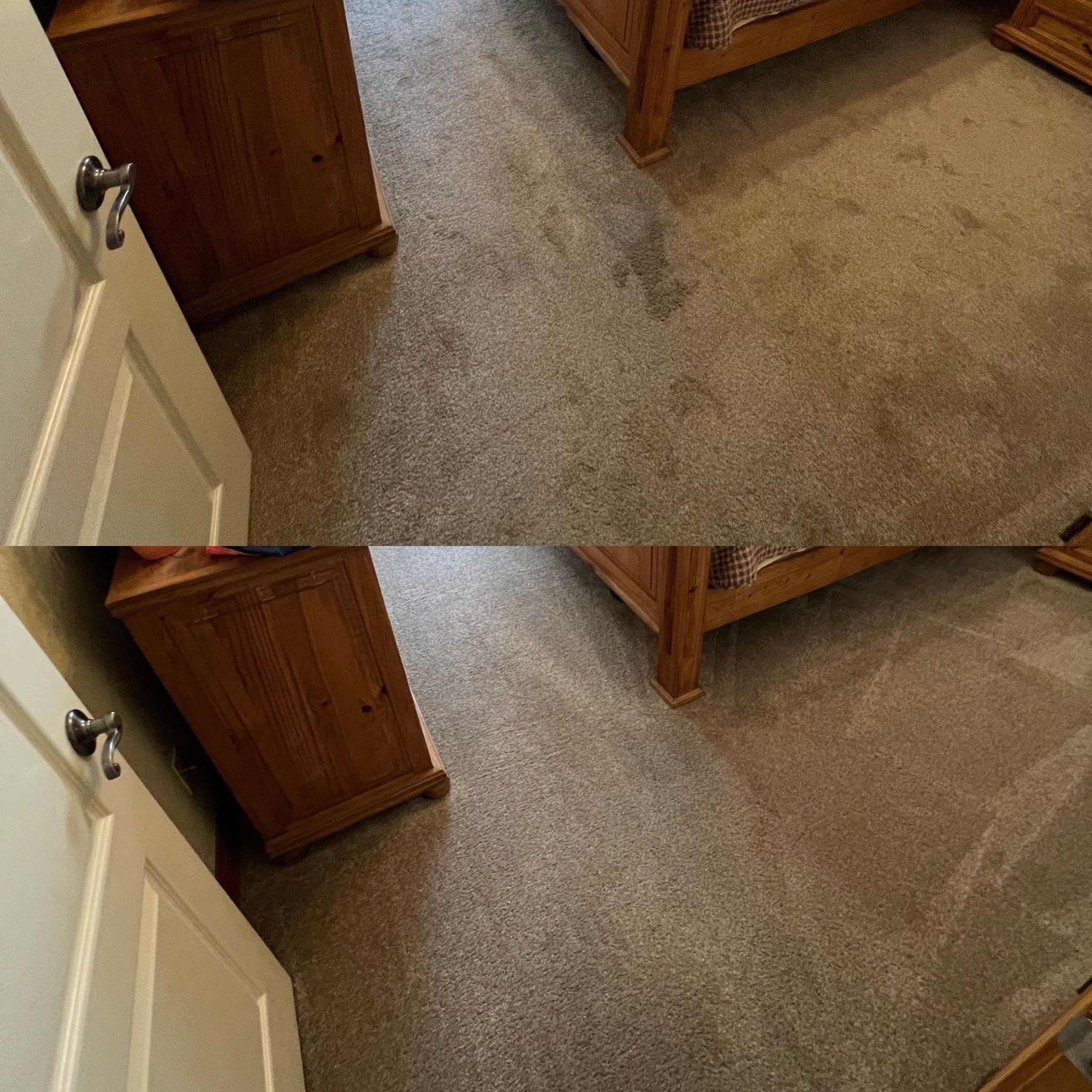 Astonishing Carpet Cleaning Project in Adkins TX 78101