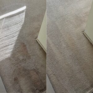 Superior Carpet Cleaning Restoration Project in Live Oak TX 78233