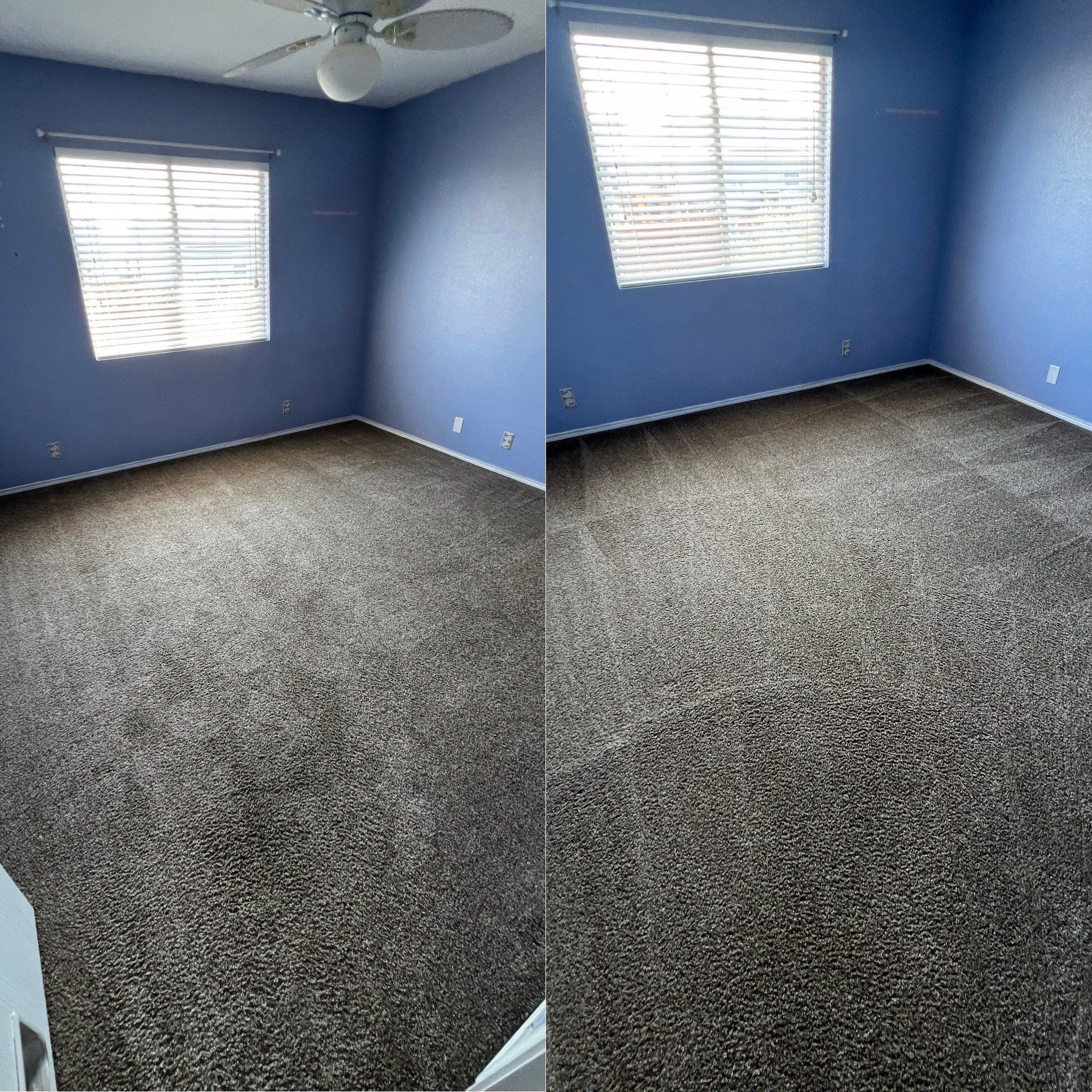 Incredible Carpet Cleaning Project in Cibolo TX 78108