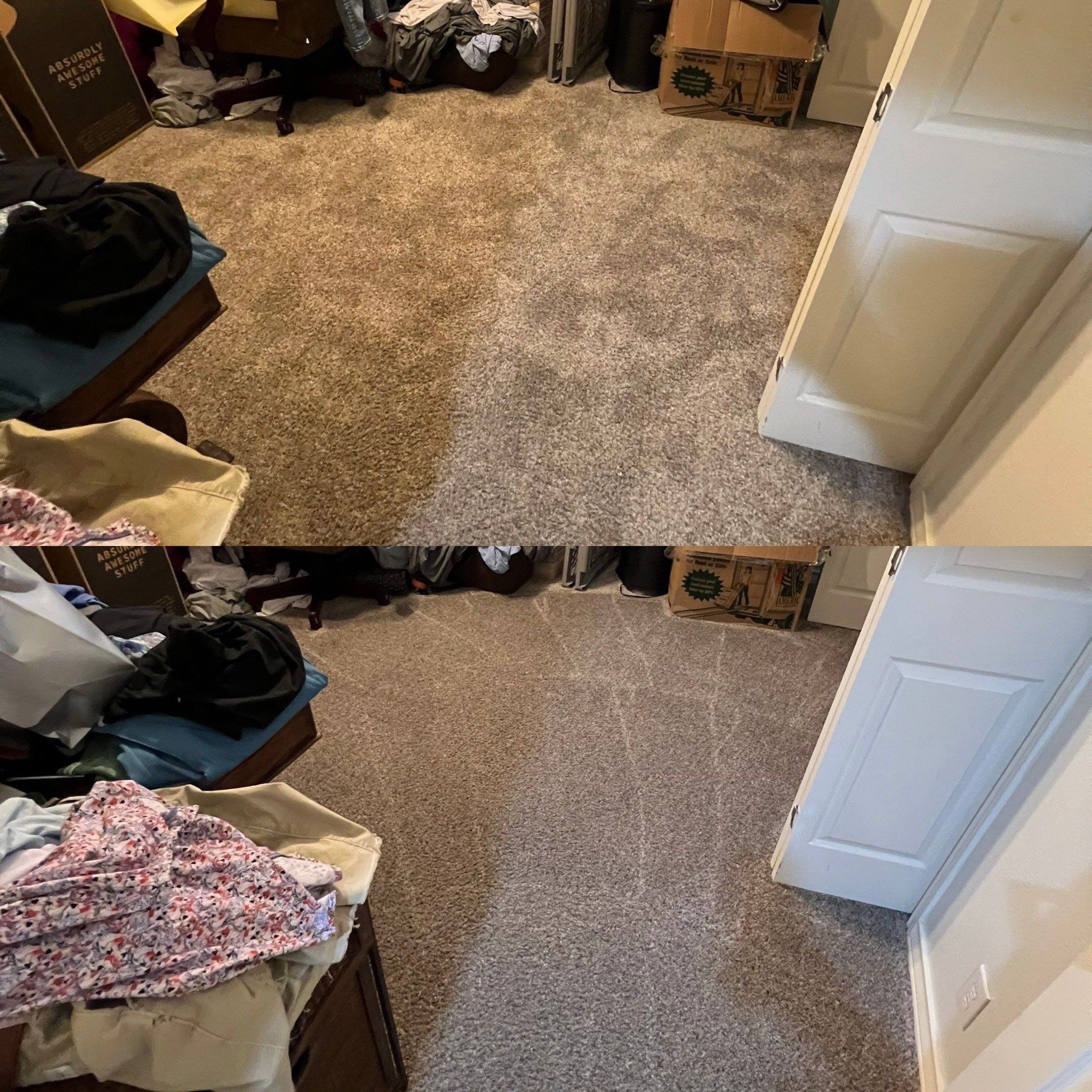 Remarkable Carpet Cleaning Restoration Project in San Antonio TX 78248