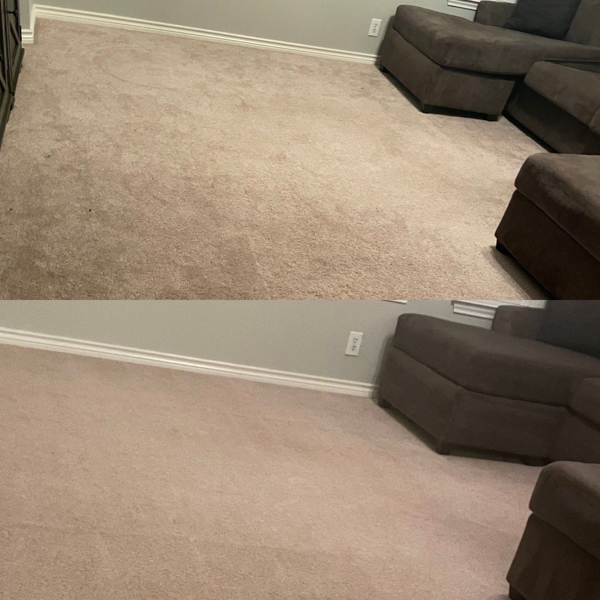 Pristine Carpet Cleaning Project in