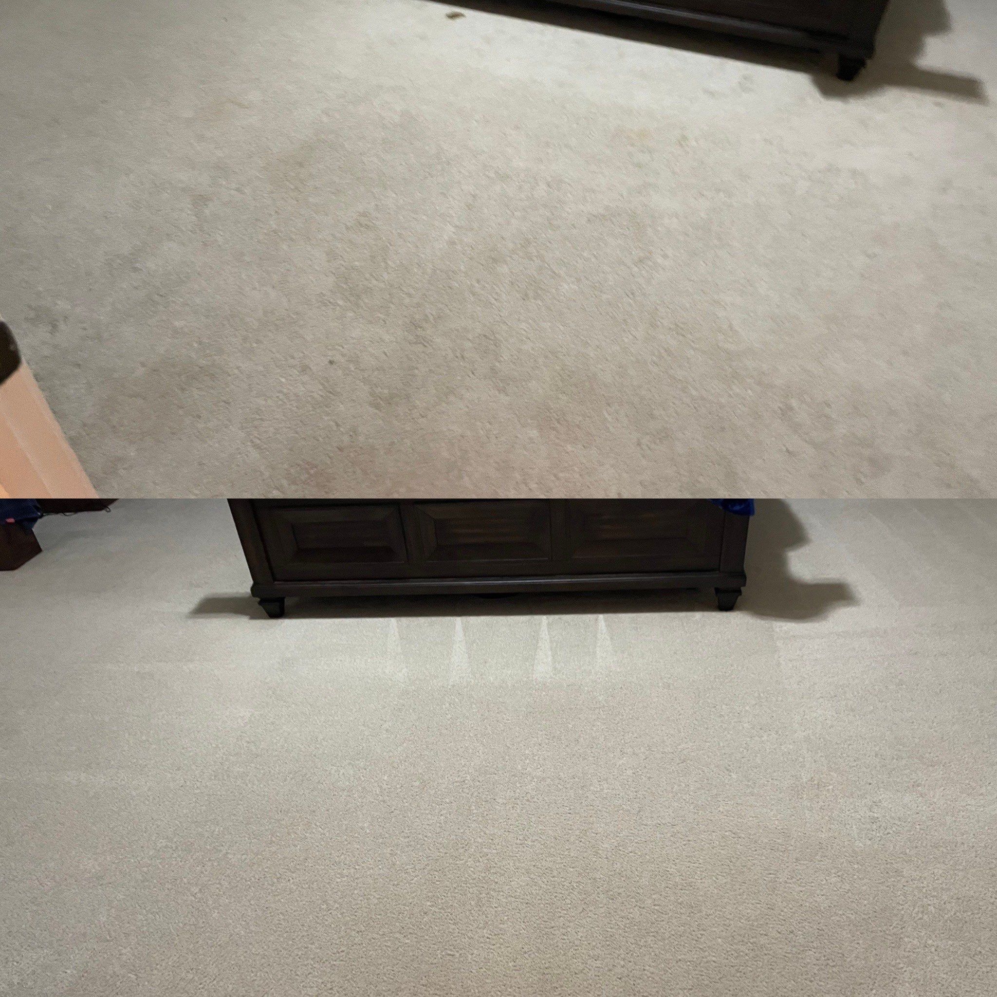 Incredible Carpet Cleaning Service Project in San Antonio TX 78252