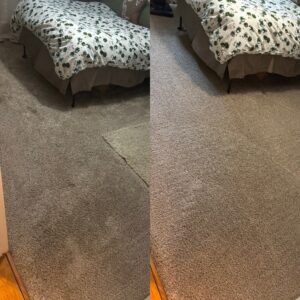 Professional Carpet Cleaning Service Project in San Antonio TX 78247