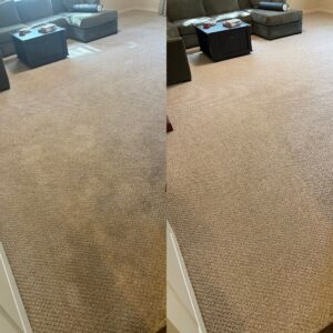 Comprehensive Carpet Cleaning Project in Garden Ridge TX 78266