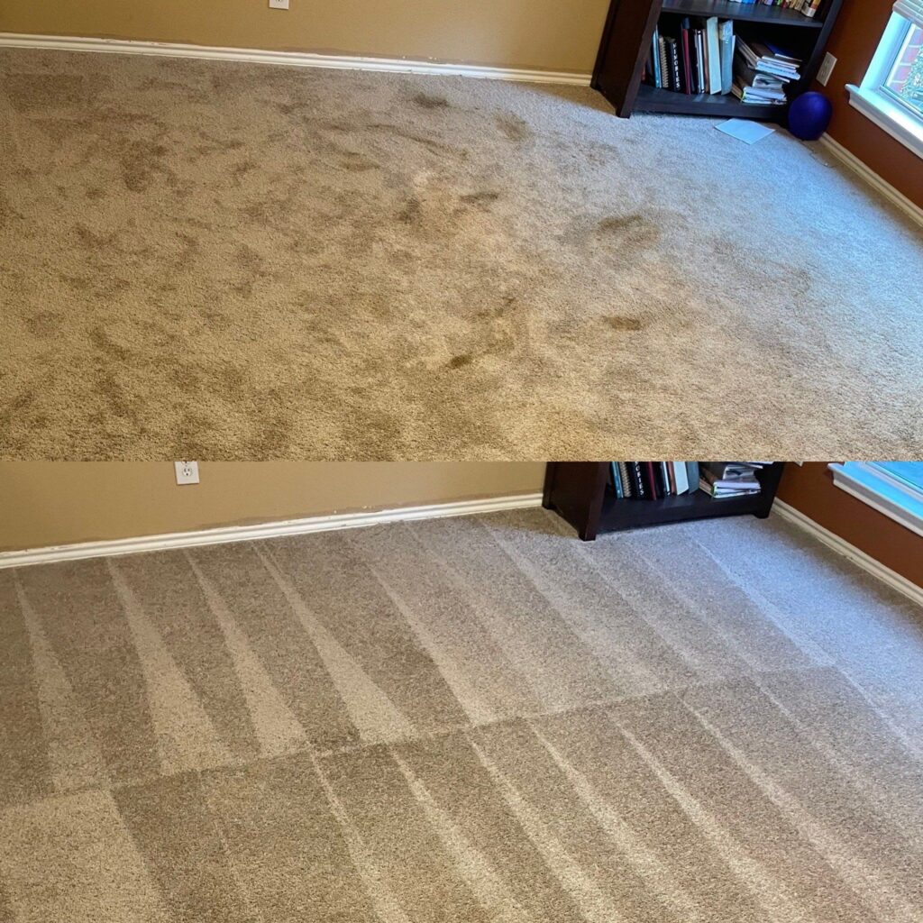 Remarkable Carpet Cleaning Project in San Antonio TX 78259