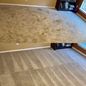 Remarkable Carpet Cleaning Project in San Antonio TX 78259