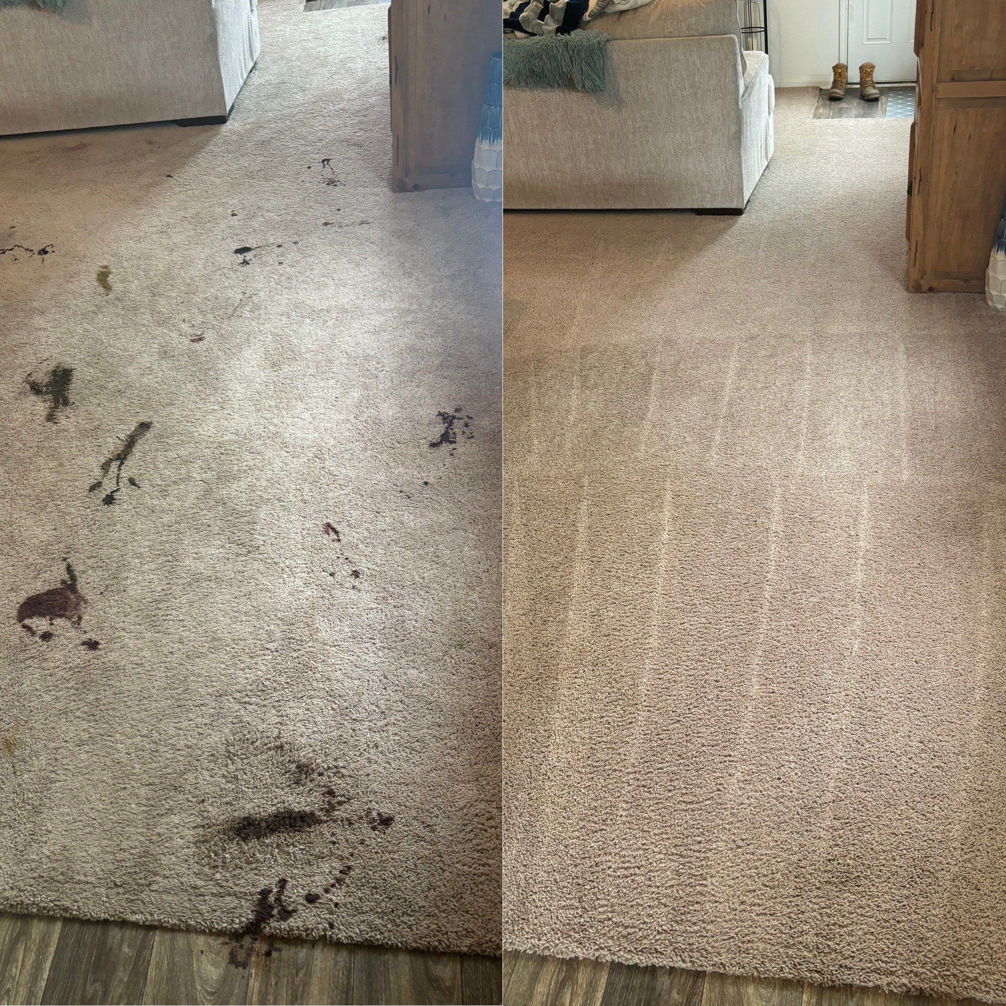 Stunning Carpet Restoration Project in Marion TX 78132