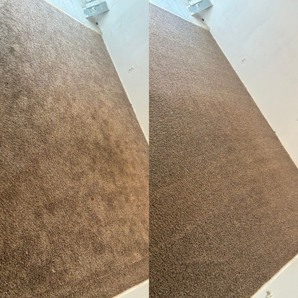 Effective Carpet Cleaning Restoration Project in San Antonio TX 78219