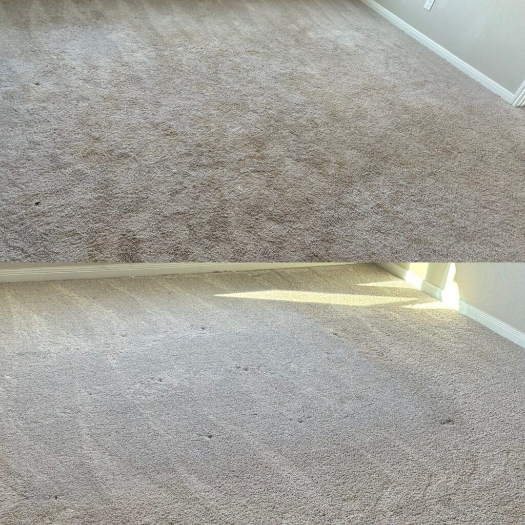 Remarkable Carpet Cleaning Project in San Antonio TX 78253