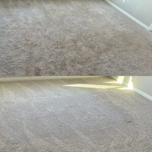 Remarkable Carpet Cleaning Project in San Antonio TX 78253