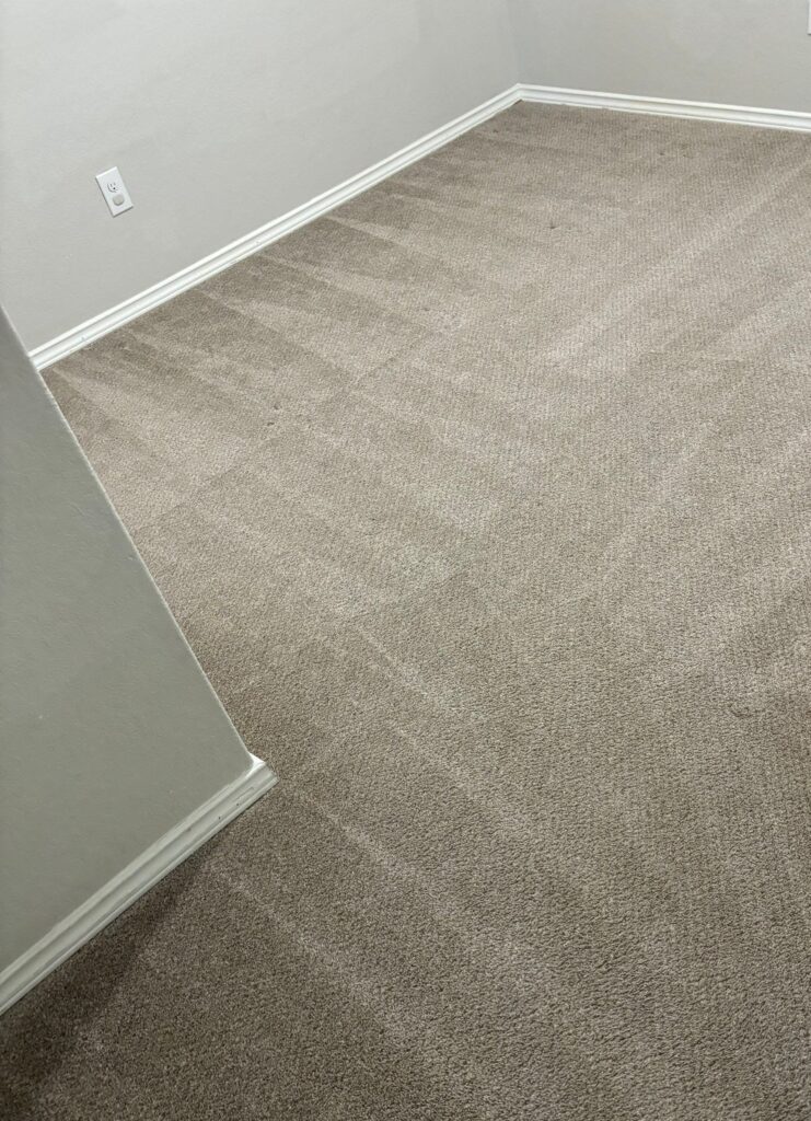 Thorough Carpet Cleaning Service Project in Converse TX 78109