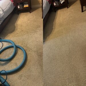 Remarkable Carpet Cleaning Project in San Antonio TX 78255