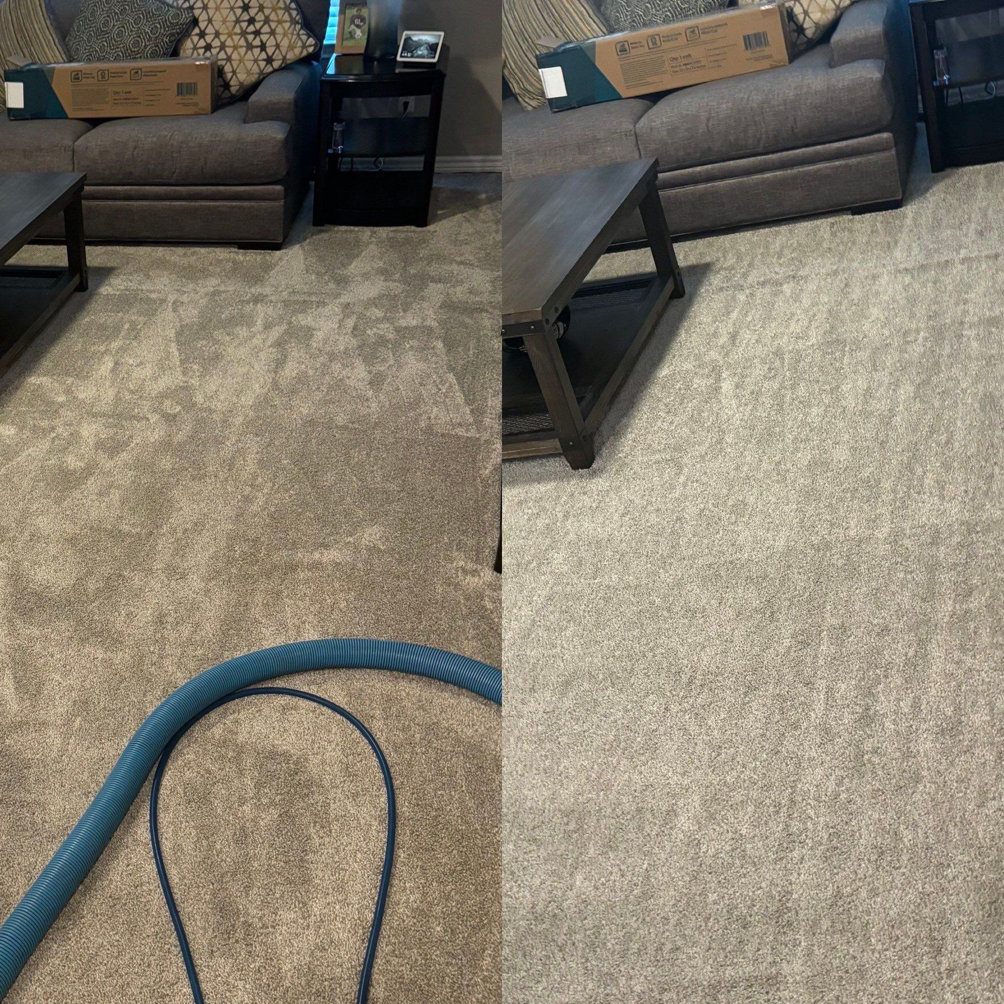 Professional Carpet Cleaning Service Project in Converse TX 78109