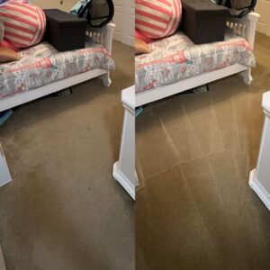 Pet Urine Carpet Cleaning Project in Cibolo TX 78108