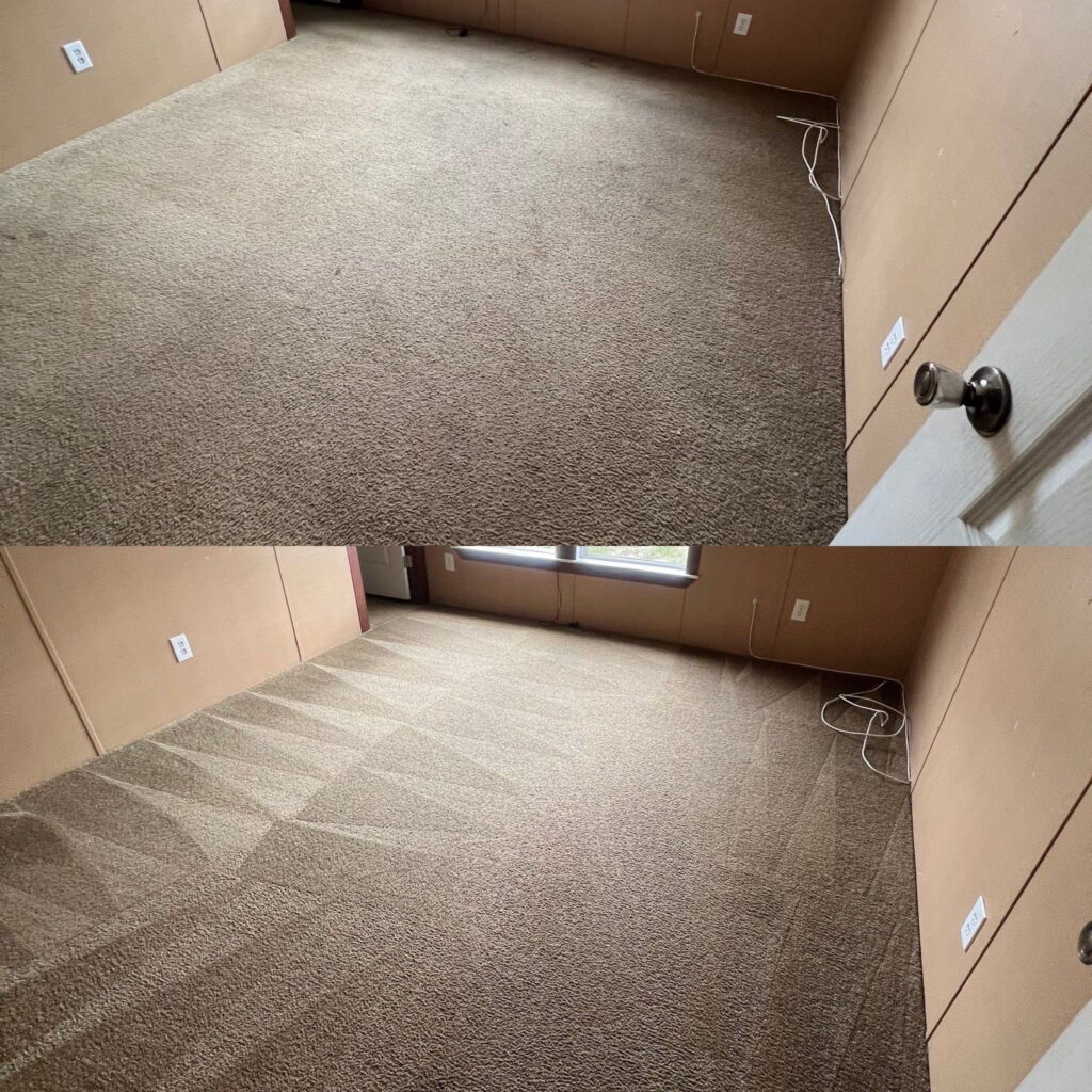 Professional Carpet Cleaning Restoration Project in Poteet TX 78065