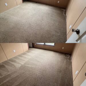 Professional Carpet Cleaning Restoration Project in Poteet TX 78065