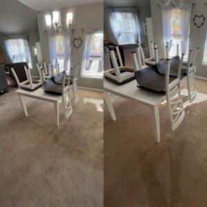 Expert Carpet Cleaning Service Project in San Antonio TX 78217