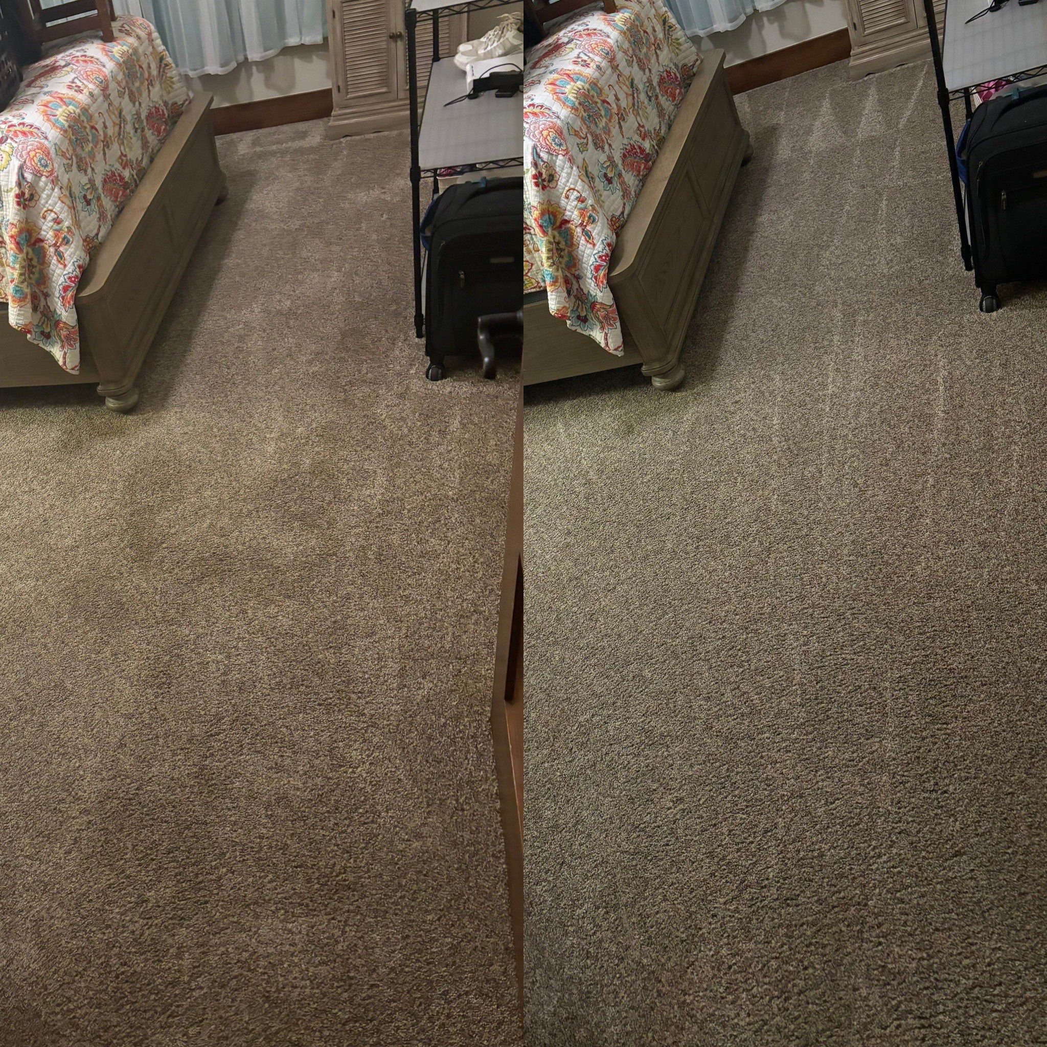 Exceptional Carpet Cleaning Service Project in Seguin TX 78155