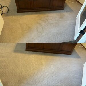 Incredible Carpet Restoration Project in San Antonio TX 78258