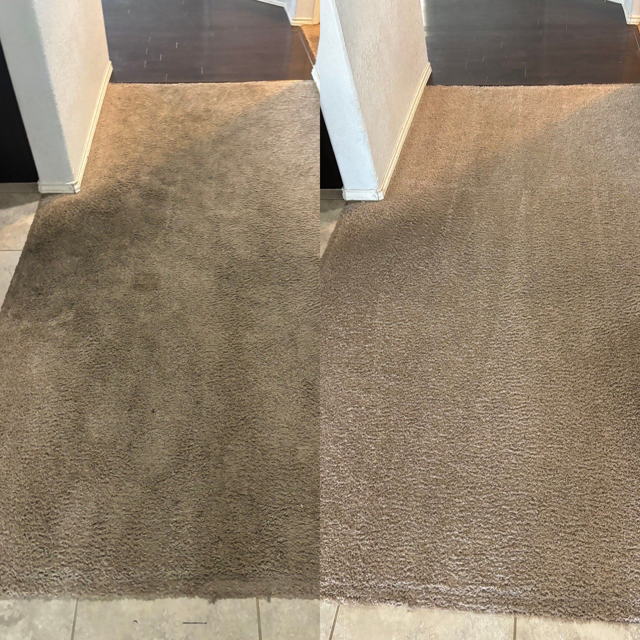 Thorough Carpet Cleaning Service Project in Cibolo TX 78108