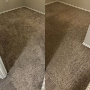 Remarkable Carpet Cleaning Project in San Antonio TX 78218