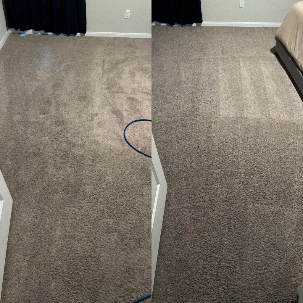 Professional Carpet Cleaning Service Project in Saint Hedwig TX 78152