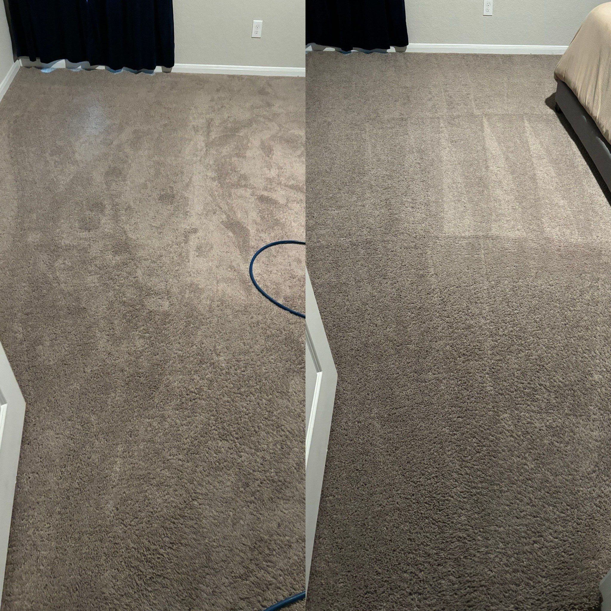 Professional Carpet Cleaning Service Project in Saint Hedwig  TX 78152