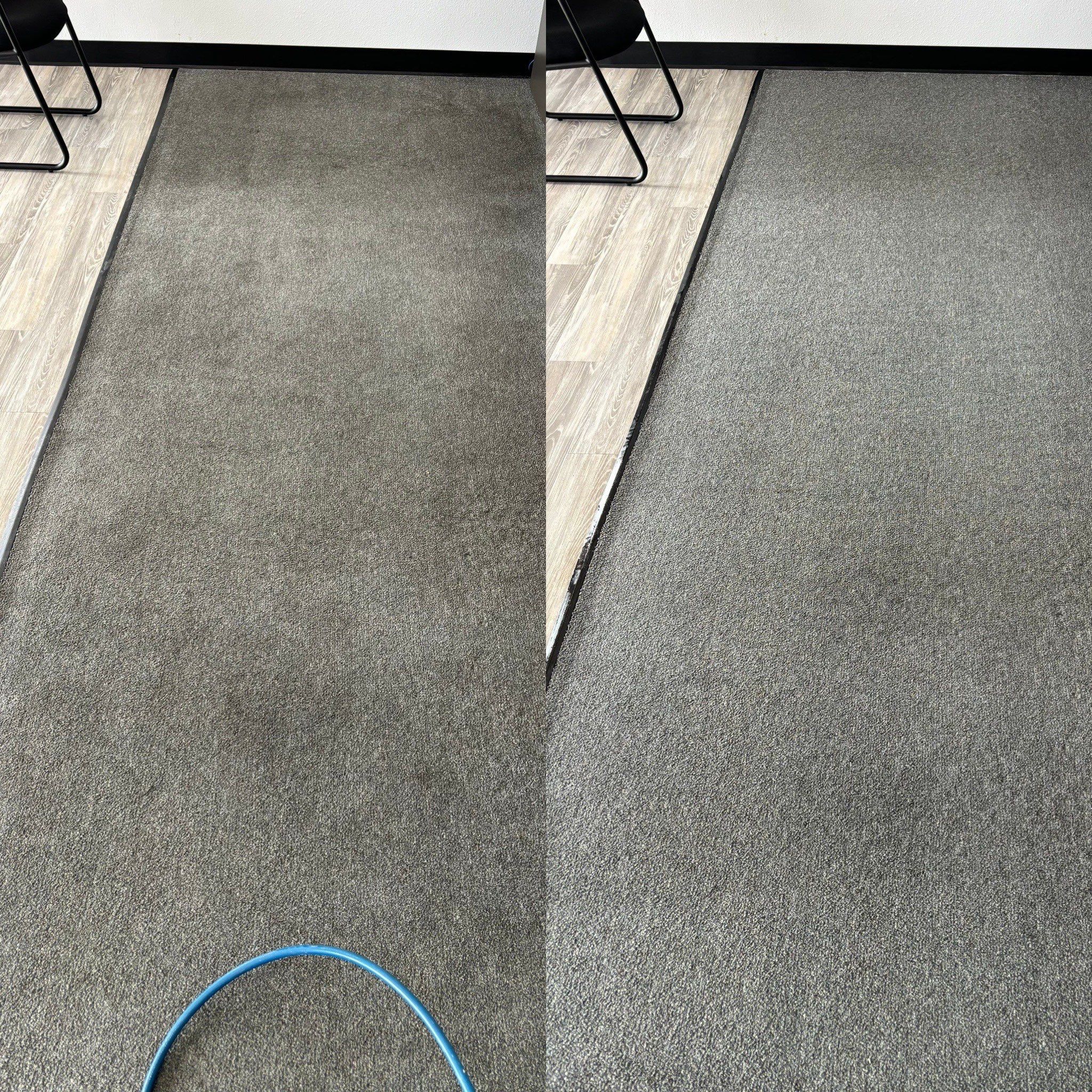 Remarkable Carpet Cleaning Service Project in San Antonio TX 78237