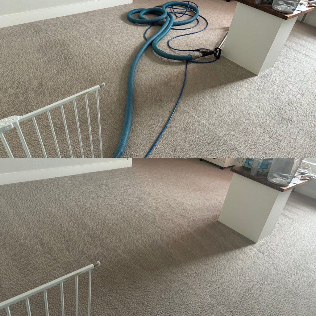 Remarkable Carpet Restoration Project in San Antonio TX 78259