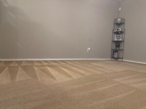 Exceptional Carpet Cleaning Detail Project in San Antonio TX 78253