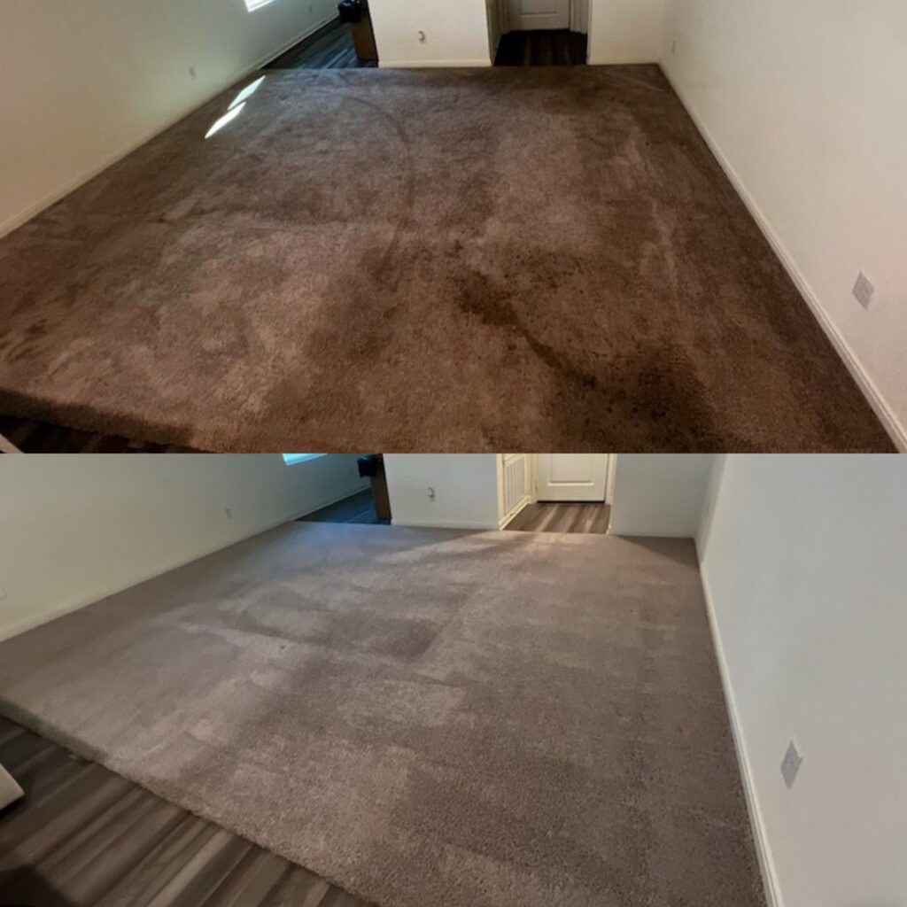 Incredible Carpet Restoration Project in San Antonio TX 78260